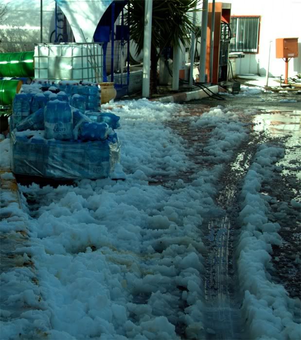 Весна любовь нечаянно нагрянет