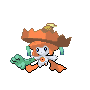 jireoxyscolo.png