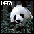 A Panda Fan.