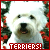 Terrier Fan (especially West Highland White Terriers)