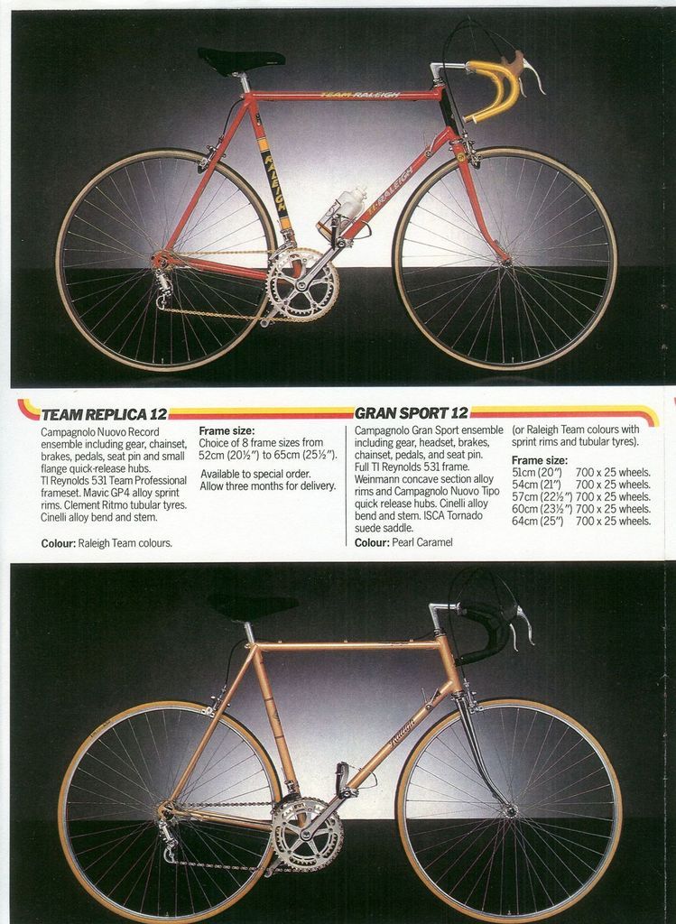 raleigh equipe 1980s