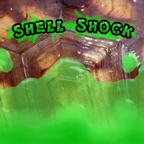 ShellShock12.jpg