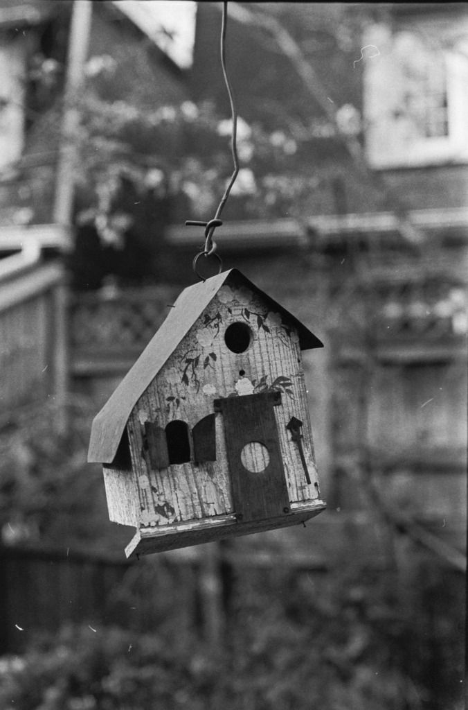 Ilford%20HP5%20-4.jpg