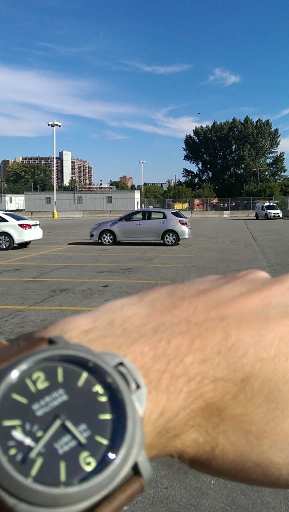 IMAG0486_1.jpg