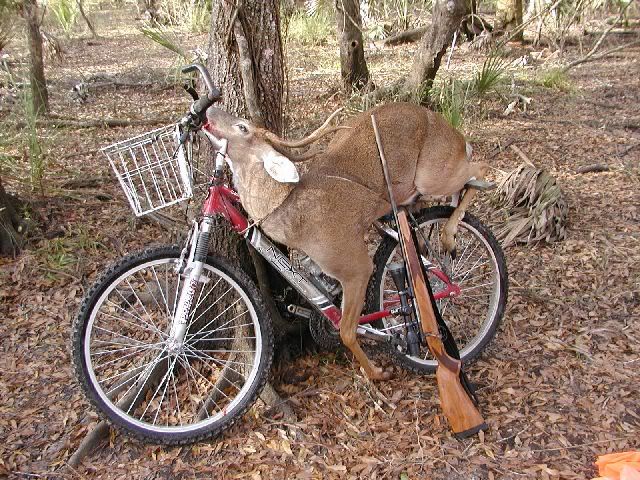 hunting trail bike