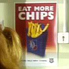 eatmorechips-1.jpg