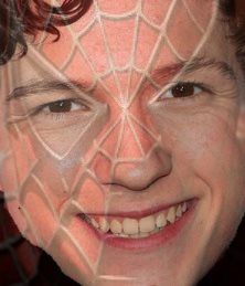 spidey_zpsxjhyhnbu.jpg