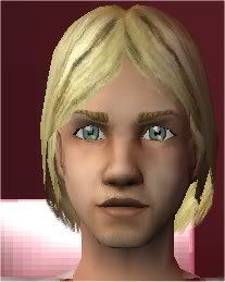 SIM.jpg