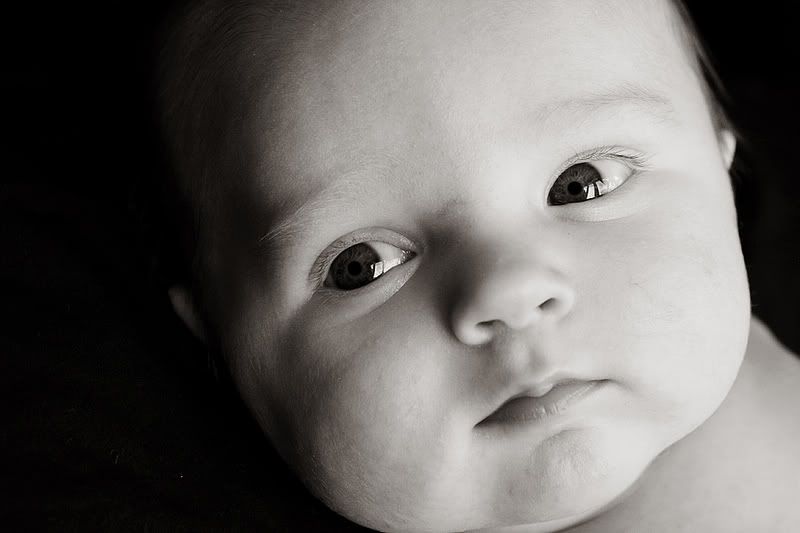 IMAGE: http://img.photobucket.com/albums/v71/prilamai/IMG_1010bw.jpg