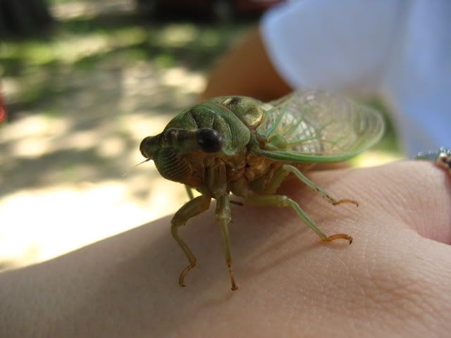 IMG_1505.jpg