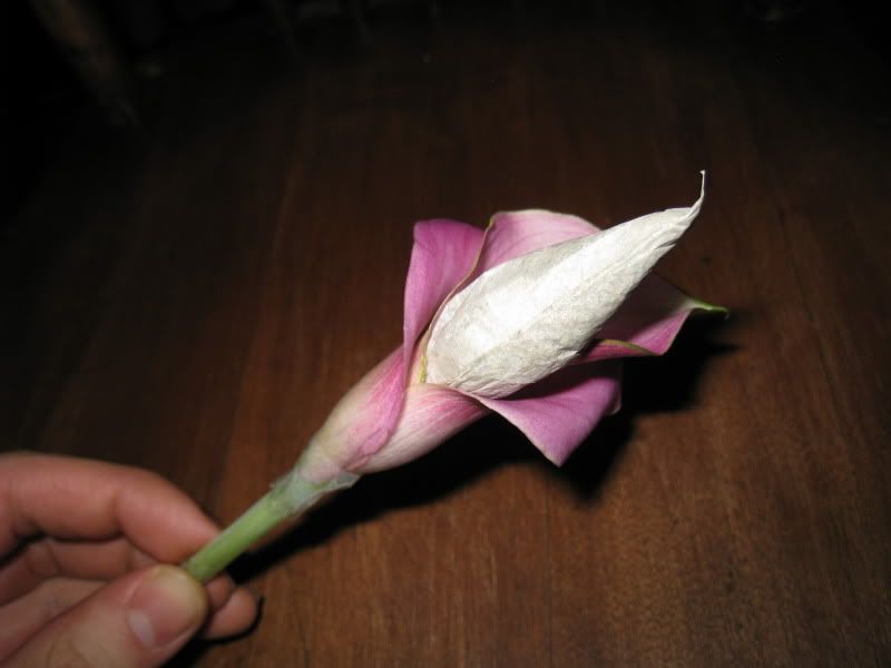 Joint Flower