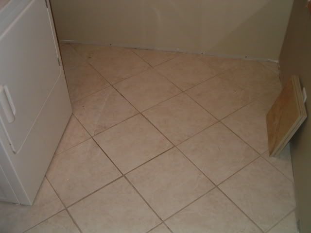 Picture024-1.jpg