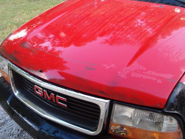 Picture241.jpg