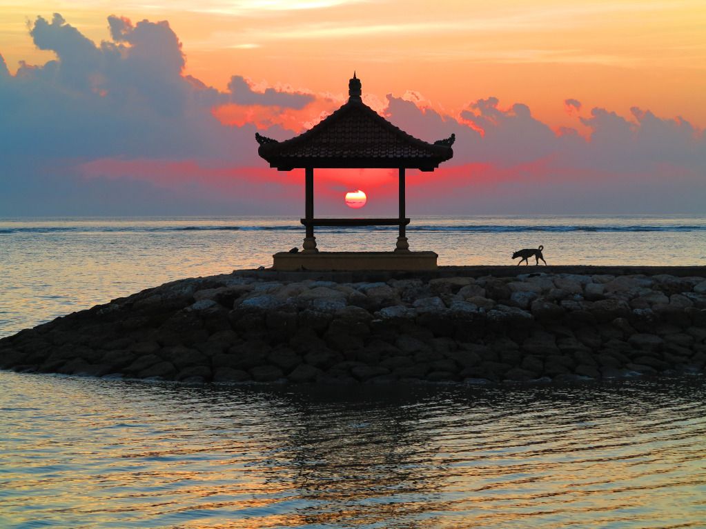 IMAGE: http://img.photobucket.com/albums/v711/wilerty/Bali%202012/IMG_0605-1.jpg