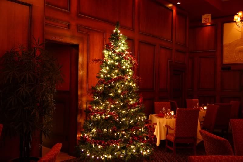 IMAGE: http://img.photobucket.com/albums/v712/Caper1/IMG_18811283x855.jpg