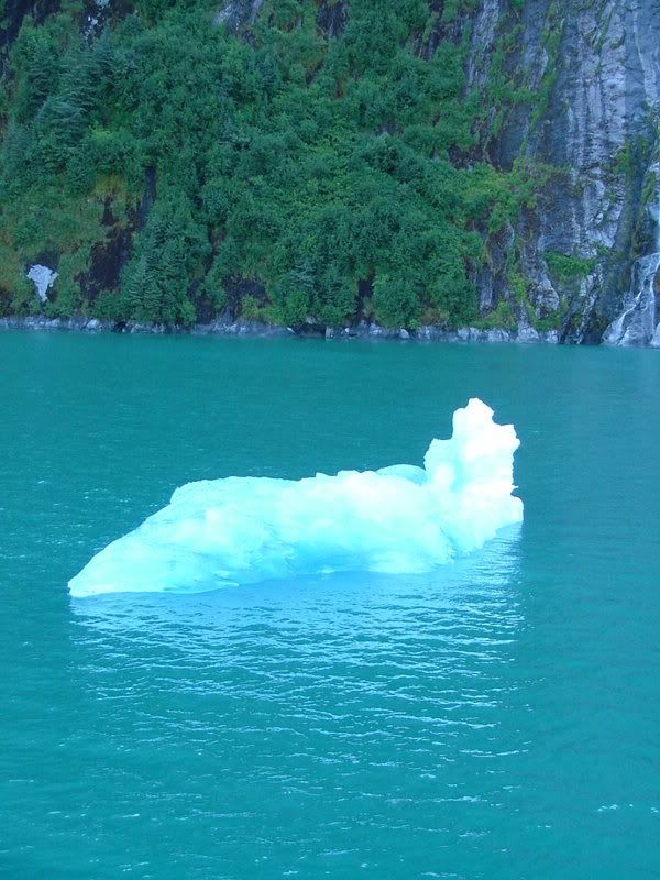 Iceberg_in_Alaska_by_jamesyfx.jpg