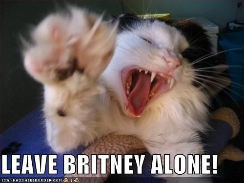 128340601289062500leavebritney.jpg