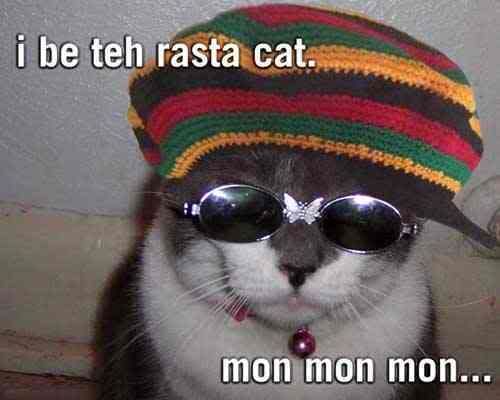 197918768-23412-rastacat.jpg