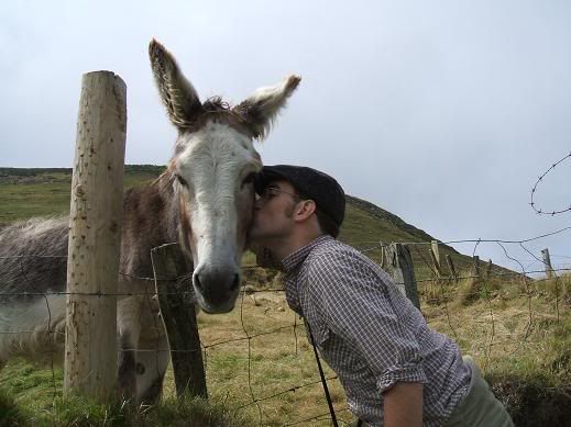 267_-_donkey_kiss.jpg