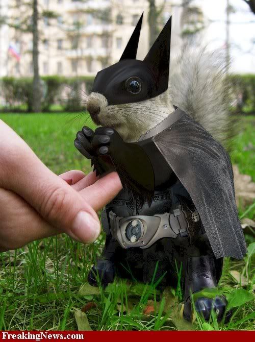 Bat-Squirrel--44792.jpg