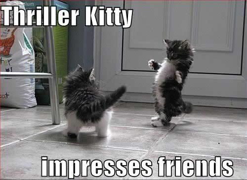 Thriller_Kitty.jpg