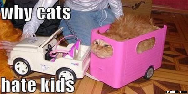 Why_Cats_Hate_Kids.jpg