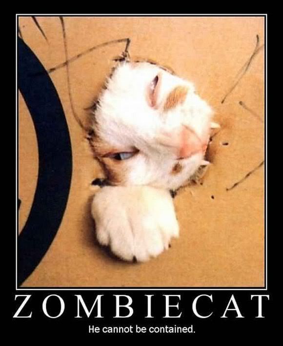 Zombie_Cat.jpg