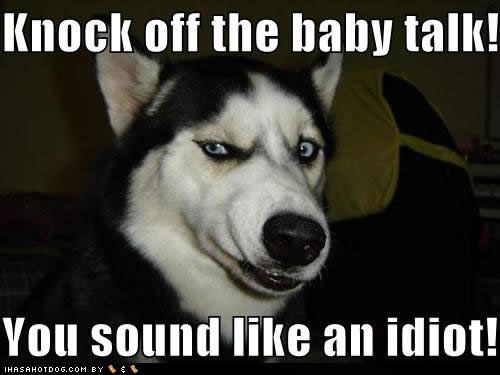 funny-dog-pictures-talk-idiot.jpg