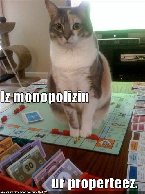 funny-pictures-cat-monopolizes-your.jpg