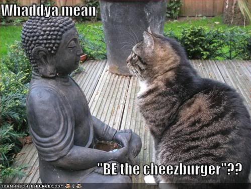 funny-pictures-cat-ponders-buddhas-.jpg