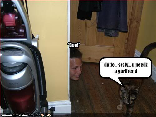 funny-pictures-cat-says-you-need-a-.jpg