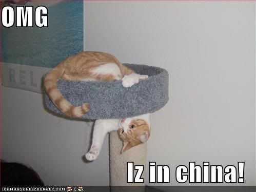 funny-pictures-cat-tree-tail-china.jpg