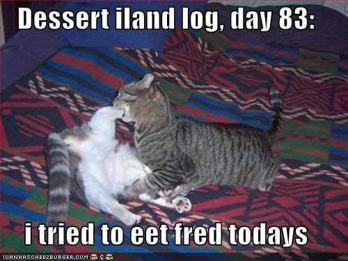 funny-pictures-cat-tries-to-eat-fre.jpg