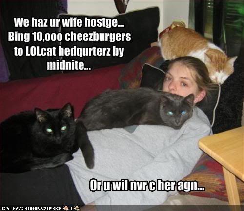 funny-pictures-cats-take-your-wife-.jpg