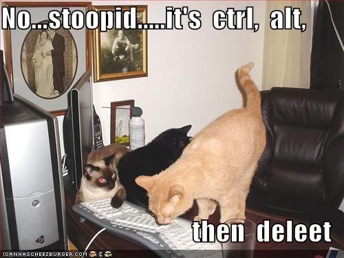 funny-pictures-cats-try-to-restart-.jpg