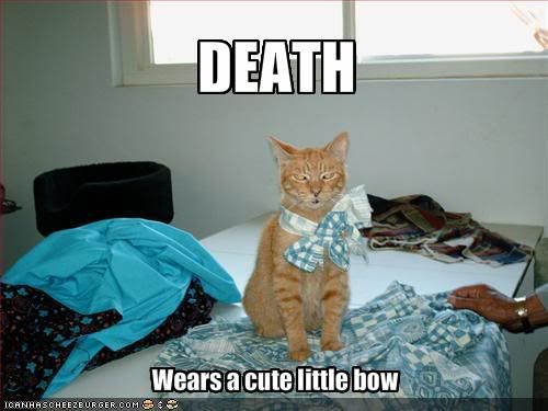 funny-pictures-death-wears-a-cute-l.jpg