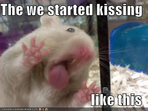 funny-pictures-hamster-kiss-glass2.jpg