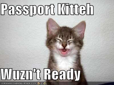 funny-pictures-kitten-bad-passport-.jpg