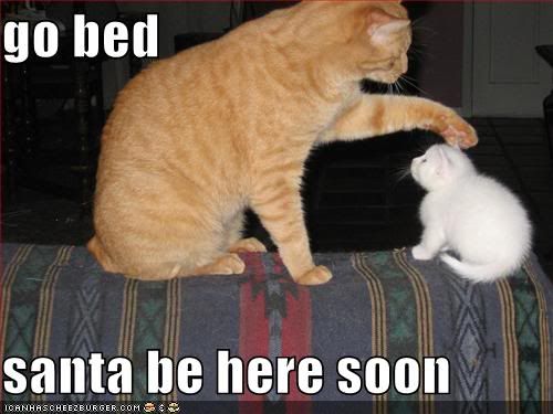 funny-pictures-kitten-bed-santa.jpg