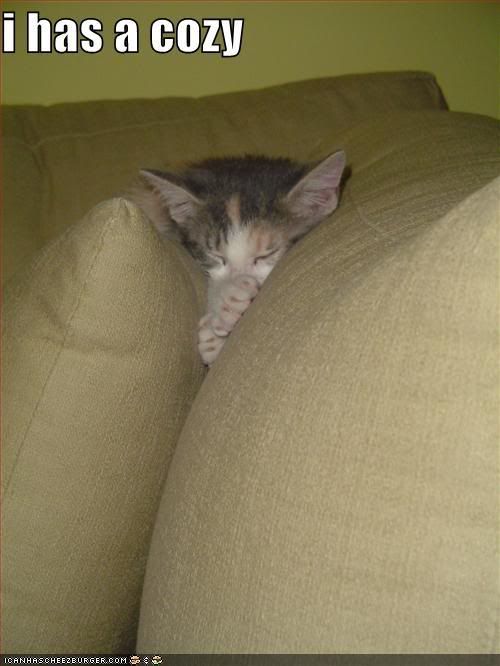 funny-pictures-kitten-couch-cozy-sl.jpg