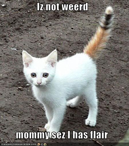 funny-pictures-kitten-thinks-he-has.jpg