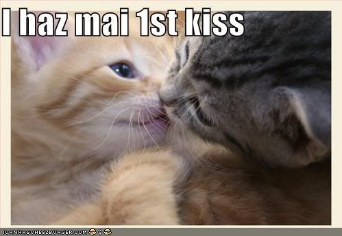 funny-pictures-kittens-first-kiss.jpg