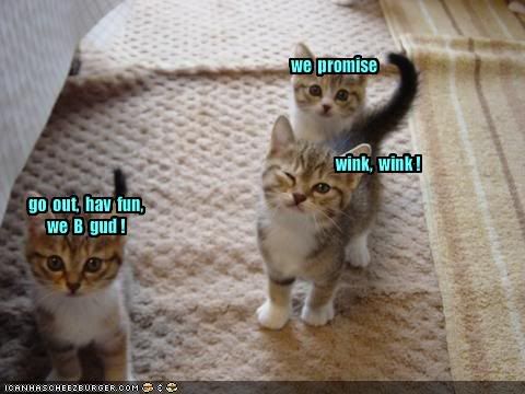 funny-pictures-kittens-promise-to-b.jpg