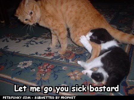 funny-pictures-let-me-go-you-sick-b.jpg