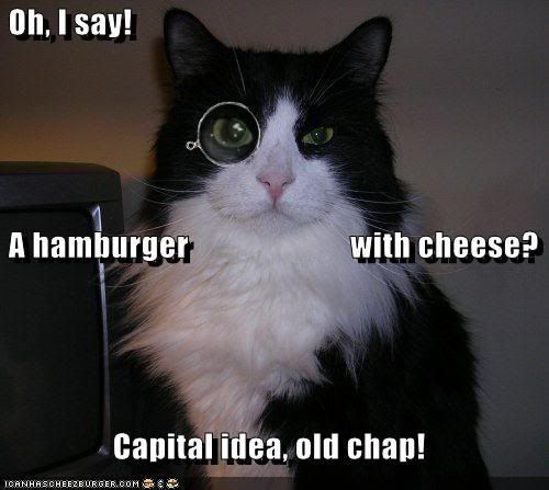 funny-pictures-monacle-cat-orders-a.jpg