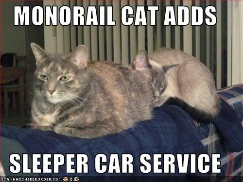 funny-pictures-monorail-cat-adds-a-.jpg