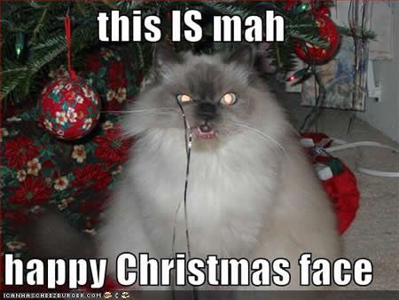 funny-pictures-my-happy-christmas-f.jpg