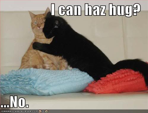 funny-pictures-one-cat-wants-a-hug-.jpg