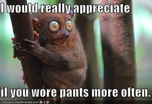 funny-pictures-pants-more-often.jpg