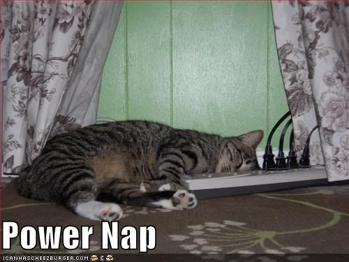 funny-pictures-power-strip-nap-cat.jpg